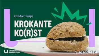 Beter kauwen maakt je gezonder | Video