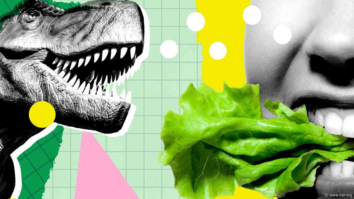 Move over Paleo diet, it's Dinosaur Time, a TikTok trend all about devouring veggies
