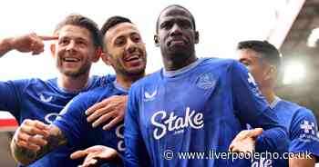 Abdoulaye Doucoure could have downed tools at Everton - a new deal and role makes sense