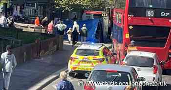 Woman dies after incident at bus stop in Plumstead