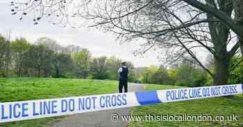Teenage girl may have been raped in park - after gates should have been locked
