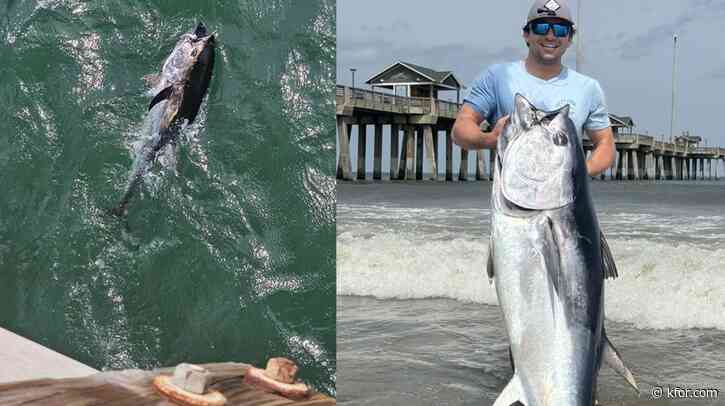 Massive bluefin tuna catches halted at NC pier after officials step in, manager says