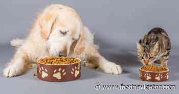 Nestlé pet food a purrfect growth sector