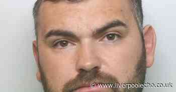 Late night drive in Vauxhall Insignia went badly wrong for 'nervous' driver