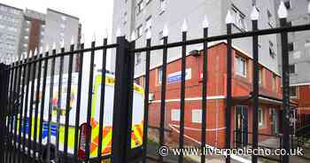 Tributes to 'beautiful' woman who was stabbed to death in flat