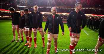 Wales international considered another job after being left unemployed