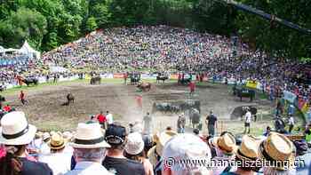 Nationales Ringkuhkampf-Finale im Wallis am 10. und 11. Mai