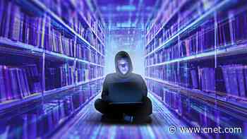 Library Internet Access Is 'World-Changing' for Millions but the Money Could Disappear