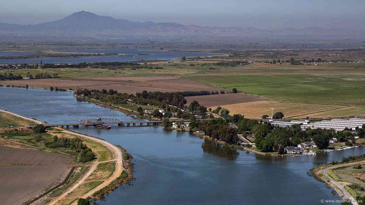 Wealthy West Coast communities threatened by 'paperclip-sized' invasive species that could cause a plumbing disaster