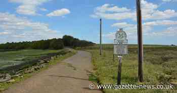 The 'remote' area with 'thriving' birds named Essex's best National Trust site