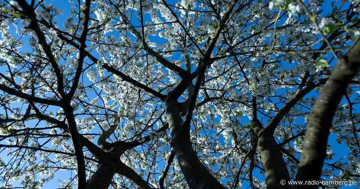 Ostern in Bayern: Erst Sonne, dann Gewitter