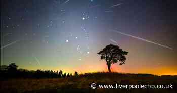 '100 shooting stars' to light up skies as astrologer issues warning for three zodiac signs