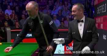 Mark Williams steps in as referee forgets his job in awkward live TV match moment