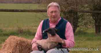 Love Your Weekend's Alan Titchmarsh corrected by ITV guest in awkward on-air moment