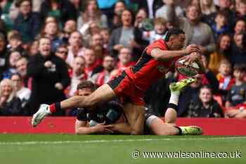 Judgement Day winners and losers as new Wales option emerges and coach shows class