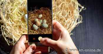 „Frohe Ostern!“ – Die schönsten Ostergrüße 2025 zum Verschicken auf Whatsapp