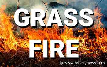 Grass Fire With Structures in Danger Saturday