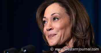 Voters Send Crystal Clear Message About Kamala Harris' Latest Plot: Dems in Deep Trouble
