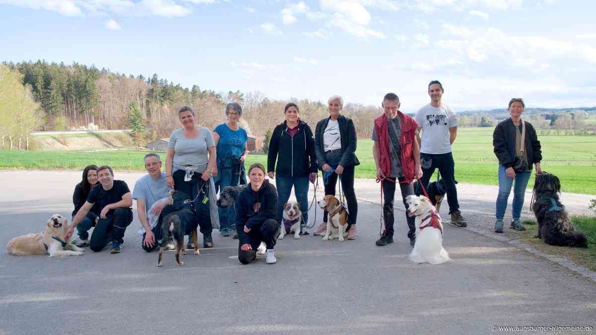 Tipps einer Hundetrainerin: „Der Hund wird mittlerweile zu sehr vermenschlicht“