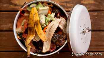 10 Foods and Household Items to Keep Out of Your Compost Pile
