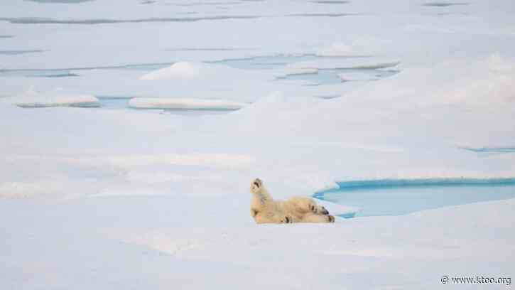 Trump administration plans offshore oil leasing in Alaska’s ‘High Arctic’