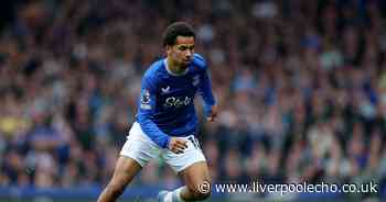 I have four questions for David Moyes about Everton players set to stay this summer