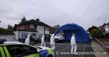 Murder suspect to appear in court after man hit and killed by car