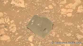 NASA's Perseverance Discovers Mysterious Dark Rock On Mars Named 'Skull Hill'