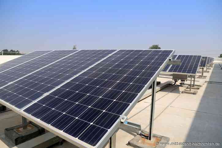 Lokal gedacht, solar gemacht – Mittelständler als Schlüssel zur Energiewende