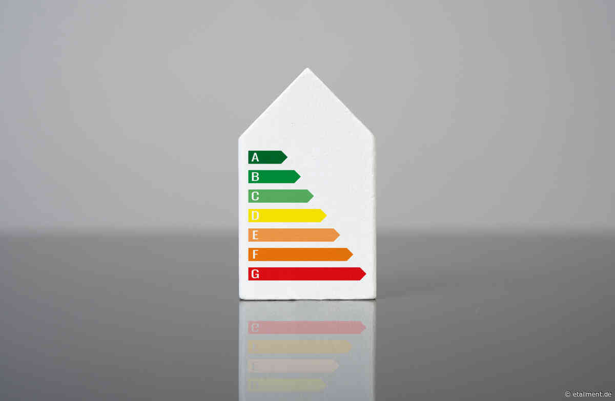 AI Energy Score: KI-Branche plant Energielabel