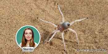 Flikflak-spin leidt de weg naar een Marsrobot