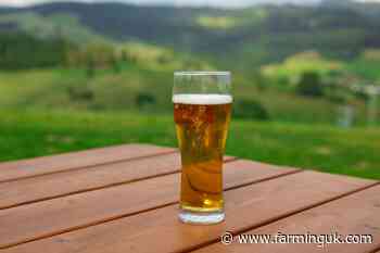 Farmers who are &#39;strong singers&#39; needed for lager advert