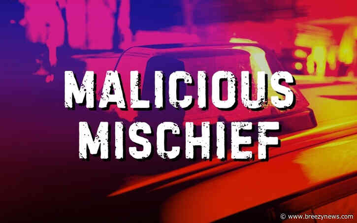 Shoplifting, Felony Malicious Mischief, and a Host of DUIs and Drug Charges in Attala and Leake