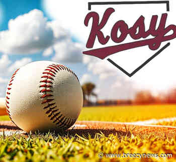Whippets Baseball Falls to Newton County Cougars