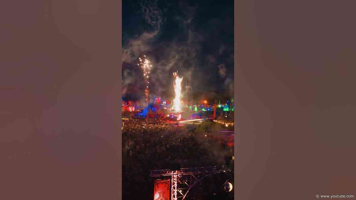 The Tribute at Defqon.1 💜 #defqon1 #shorts