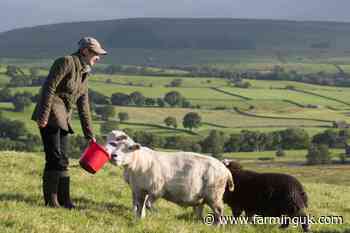 New &#163;2m strategy aims to transform local food systems in Wales