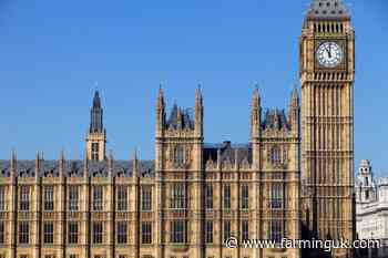 Lib Dems to force vote aimed at halting &#39;cruel&#39; cuts to farm payments