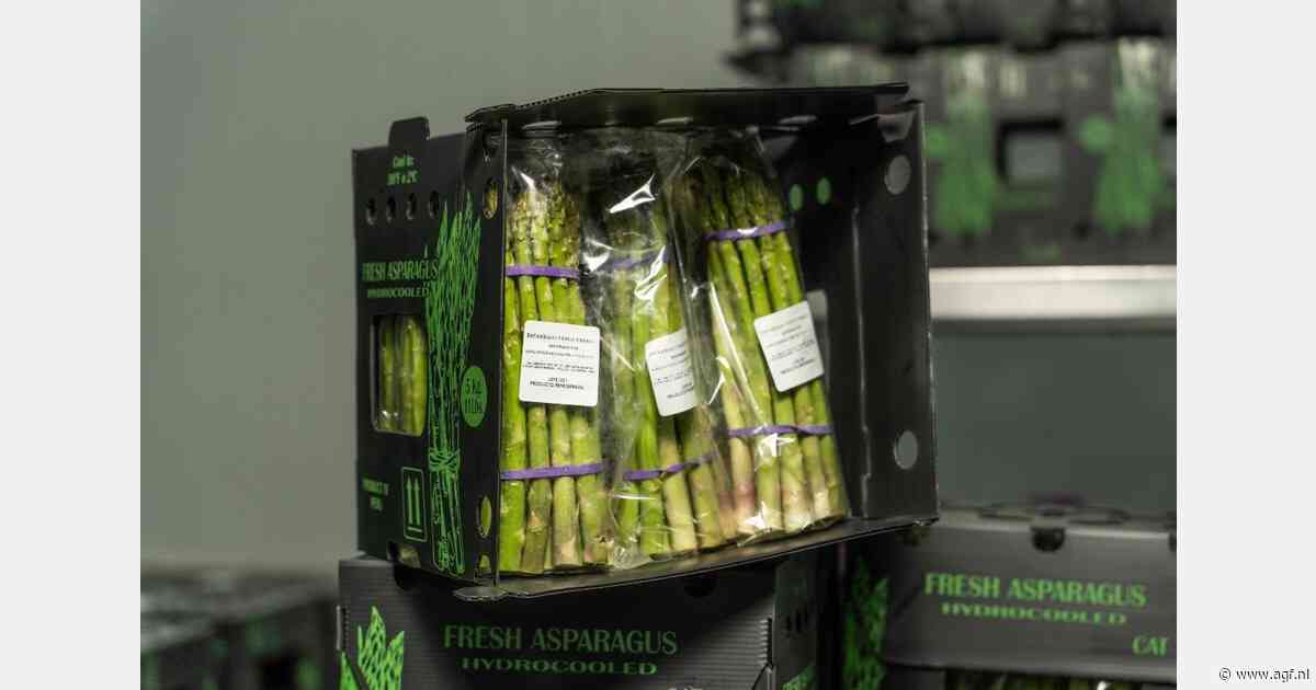 Vertraging Spaans aspergeseizoen gunstig voor Peru