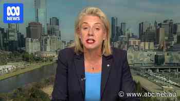 ‘They’re anti our great nation’: Bridget McKenzie on the Greens