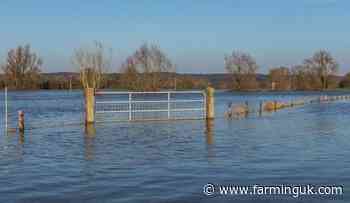 NFU calls for flood defence boost amid farmland risk warning