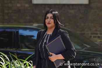Questions over validity of Supreme Court gender ruling ‘unacceptable’ – Mahmood