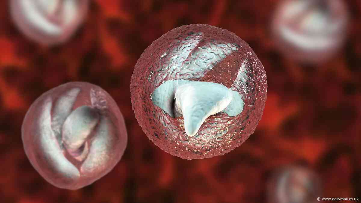 Urgent warning over major outbreak of gruesome parasite that causes 'bowel cancer-like' symptoms at children's attraction