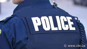 Winnipeg man charged with sexual assault, cruelty to animals, assaulting officer