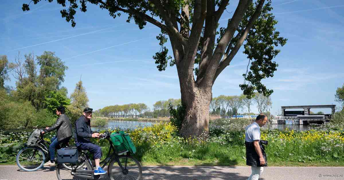 Wandelt u op de weg aan de linker- of aan de rechterkant? En: hoe hoort het eigenlijk?