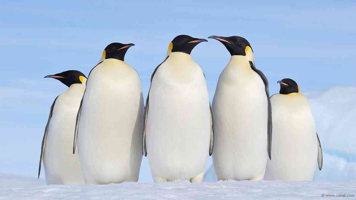Want to run your favorite local AI models on Linux? This app makes it easy