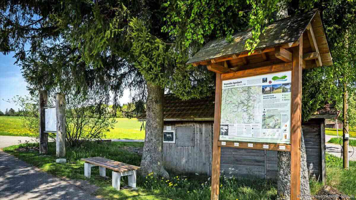 Sitzgelegenheiten in Neuweiler: Sieben Bänke könnten verschwinden