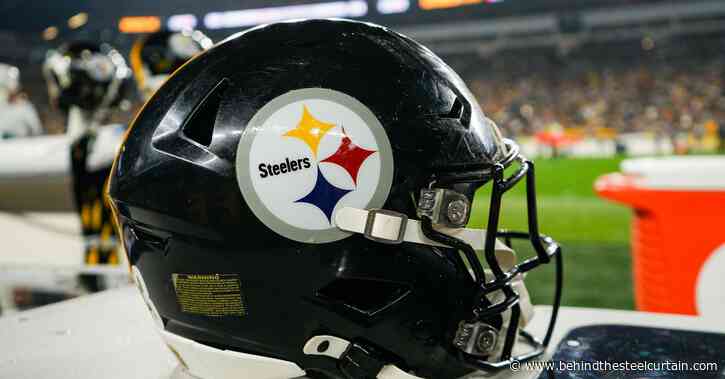 Steelers release veteran LB