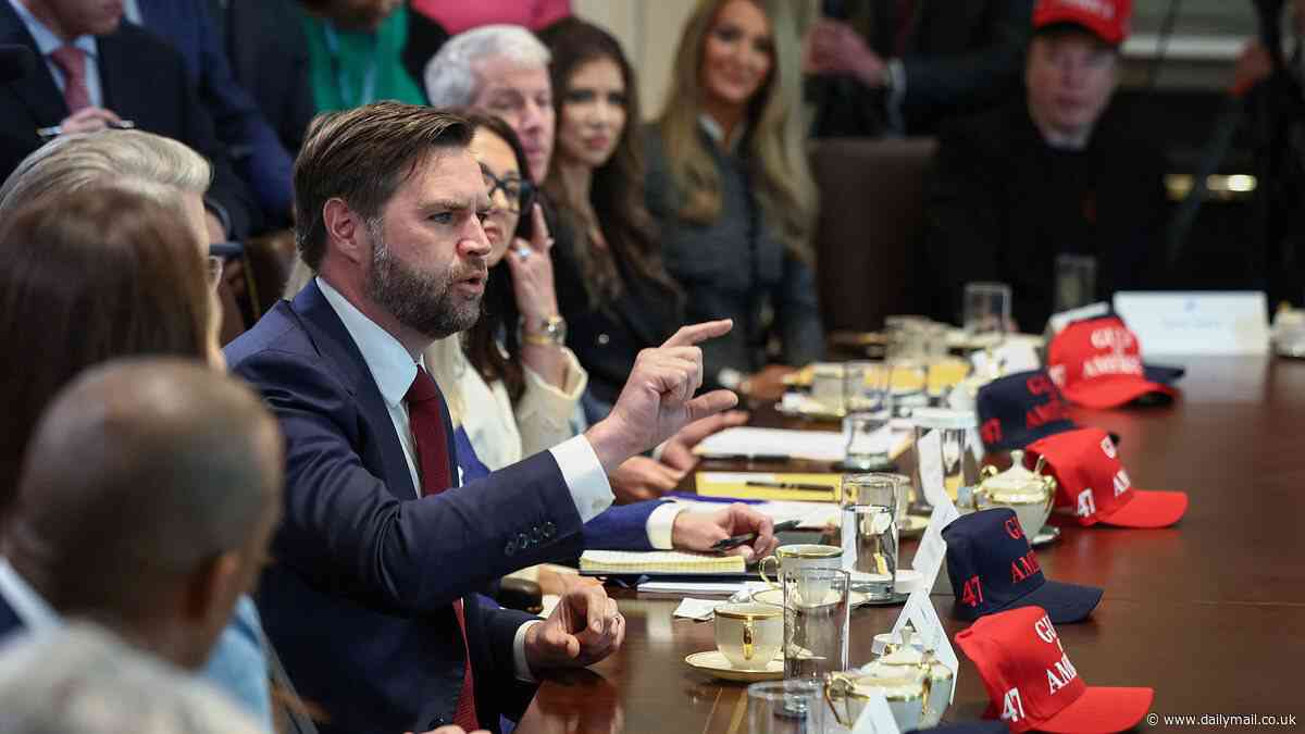 JD Vance erupts over press focus on 'fake BS' at two-hour Trump cabinet meeting