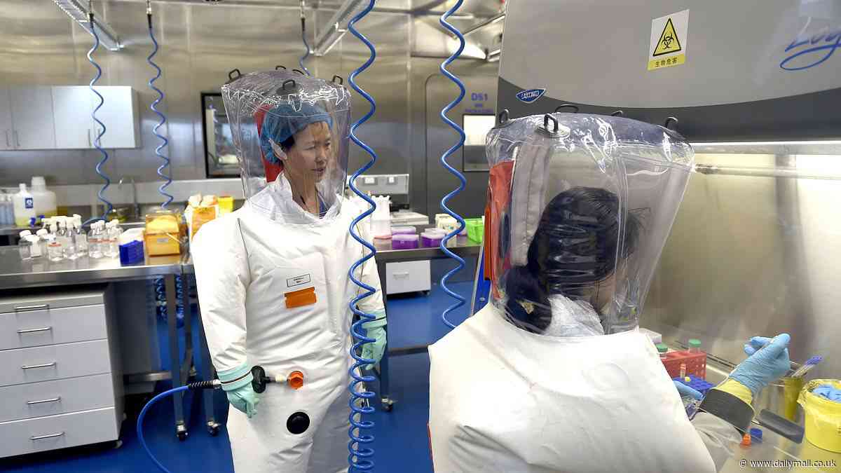 China makes stunning claim about Covid's origins after lab leak furor