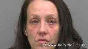 All hell breaks loose when jealous woman spotted ex's new girlfriend at custody handover